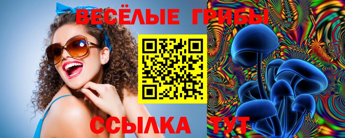 Заводоуковск  Галлюциногенные грибы ЛСД  Вход с VPN  Псилоцибиновые грибы Psilocybine cubensis 